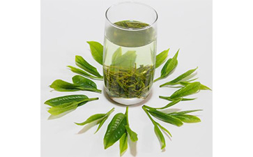 茶叶二维码羞羞视频在线观看网站标签可以带来哪些优势价值已经特点?